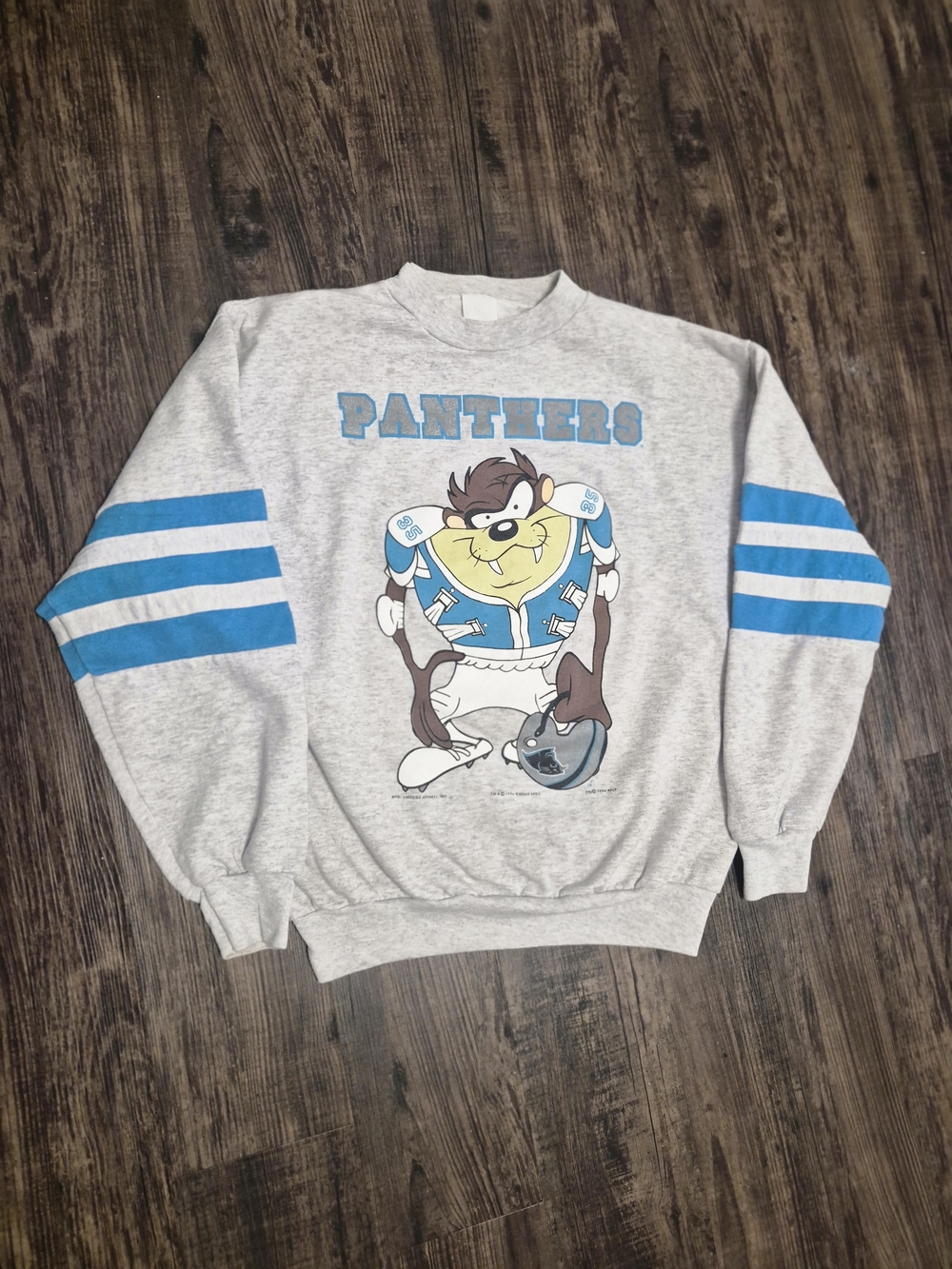 NFL Panthers Crewneck Sweatshirt - Light Gray with Blue Stripes